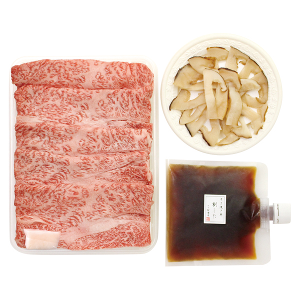 ԍ⏼t Ɣˋ (ZE-100M)